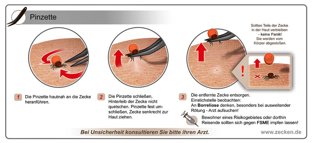 archimedes the center of gravity and the first law of mechanics the law